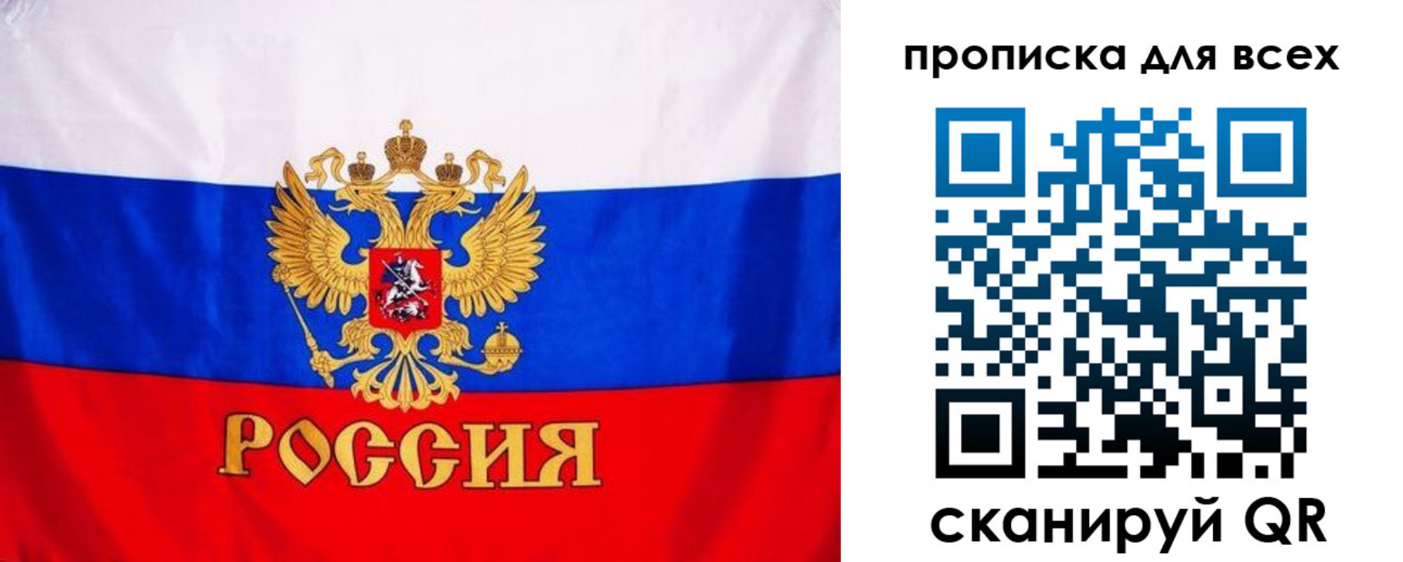 временная регистрация гарантия в Коле